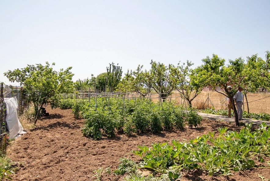 Malemi Organic Hotel Skala Kallonis Luaran gambar